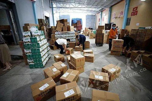 4万单巴东绿色农产品直供北京 从田间到舌尖的生态美味