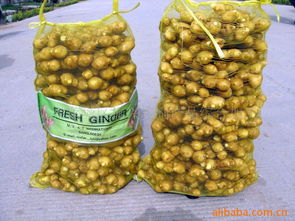 莱芜市莱城区振兴农副产品综合加工厂官方网站 - 健康零食，源自纯正农产